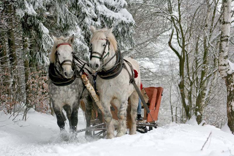 This weekend: Dunvegan winter carnival