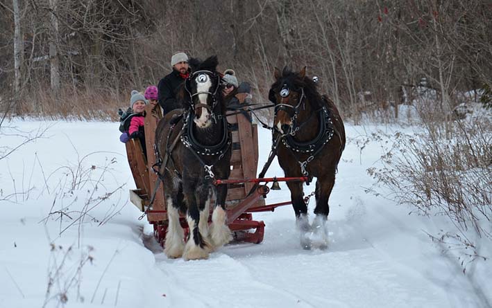 Old-fashioned fun at the Dunvegan winter carnival