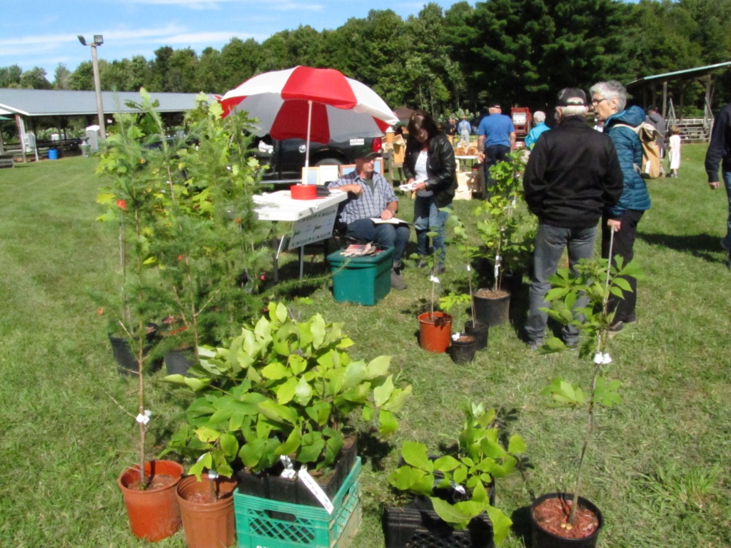 Is the forest so dangerous? The Review Newspaper