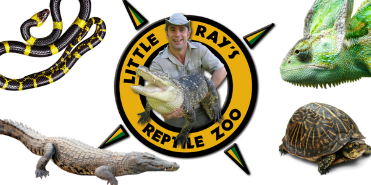 TD Summer Reading Club Ray's Reptiles The Review Newspaper